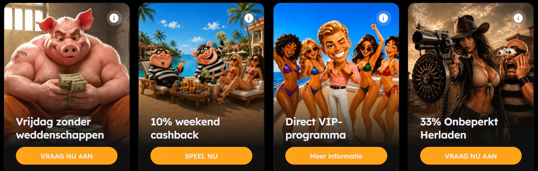 Voorwaarden van de acties